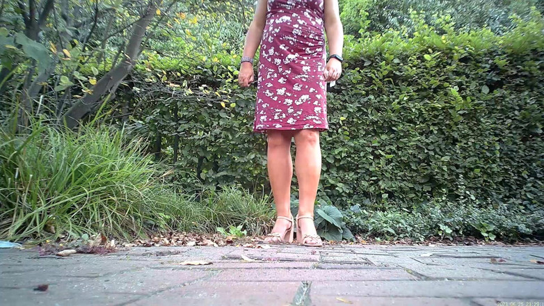 Serge Didier: Invited a Beautiful Fucking in the Park to Take a...