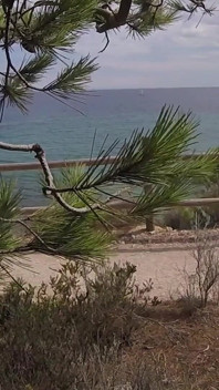 Dick Flash - Wyciągam kutasa przed francuską dziewczyną ... Beach Path i ona pomaga mi spust w Mounth złapany!!