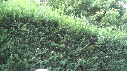 Cum Outdoor: Sexo descarado con hijastra en el jardín