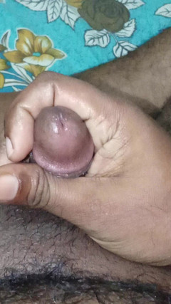 Bobby Rock: Гарячий член і писання