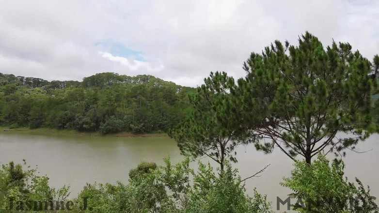 JasmineJ9966: Una collina ventosa