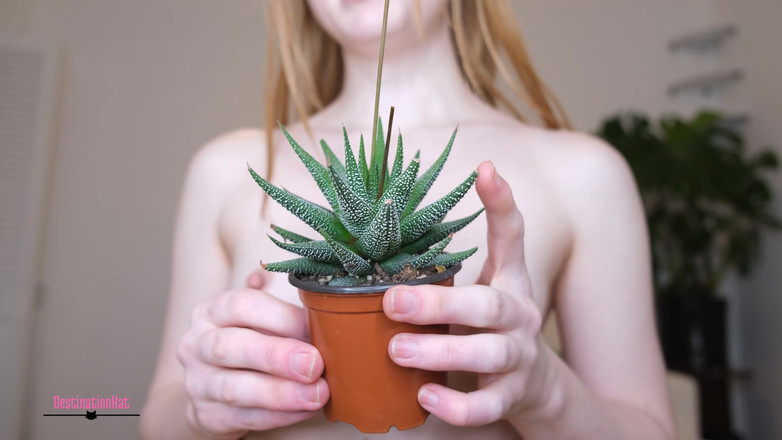 Destination Kat: Ukazuji ti mé rostliny bez kalhot