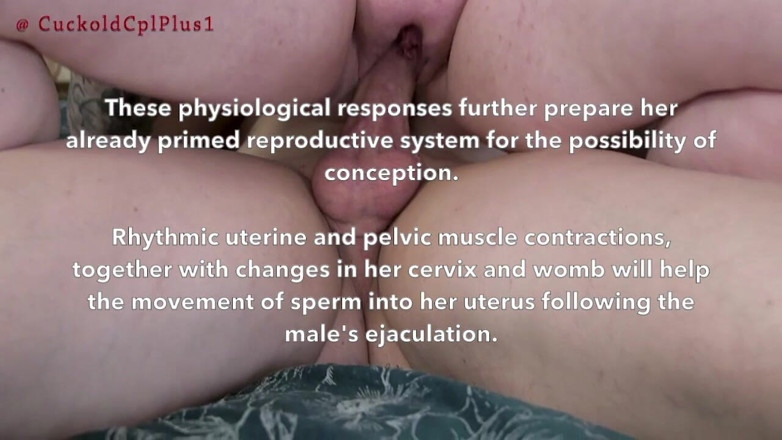 HotwifeRachel: Documentar De Reproducere a Încornoratului. Încornoratul Ascultă În Afara Ușii