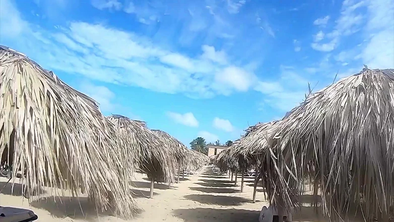 Darcy Dark: At Sea with a Stranger