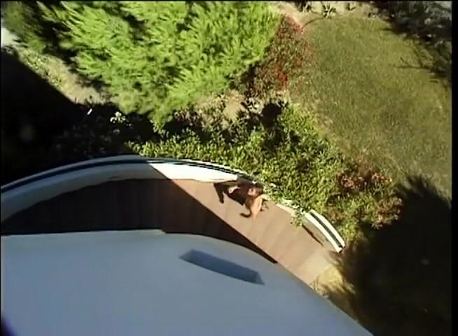 Vintage Usa: Muscle guy loves the pussy in the garden