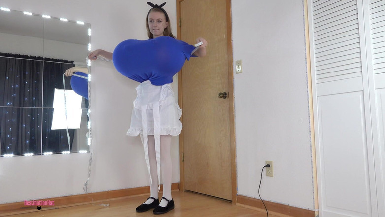 Destination Kat: Alice in Möpse