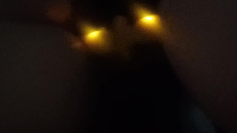 Sub_Puddlez: ダーク・ファン