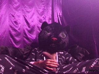Arthur Eden aka Webcam God: Schwarze kitty cat (4 k)