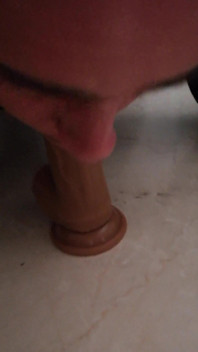 Dildo Suck Solo Stepdaddy