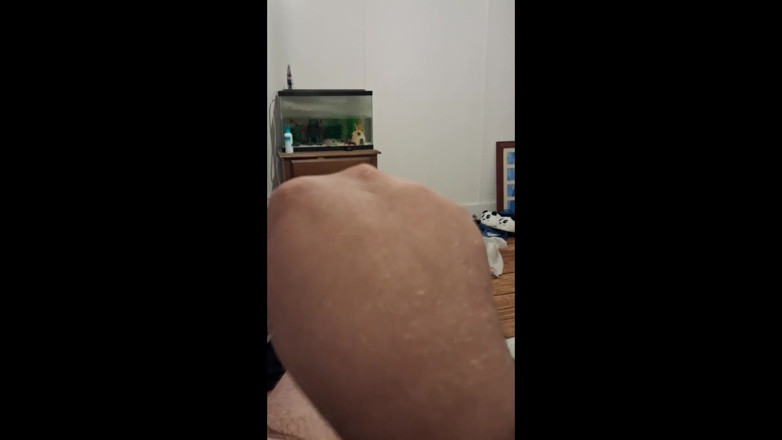 Alessa Doll Lover: This Years Fetish Content so Far!