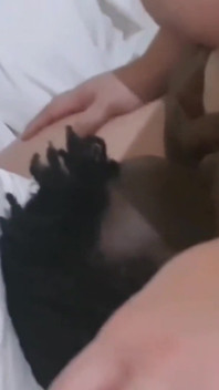 FFM Threesome Sucking His BBC While She Rides His Face