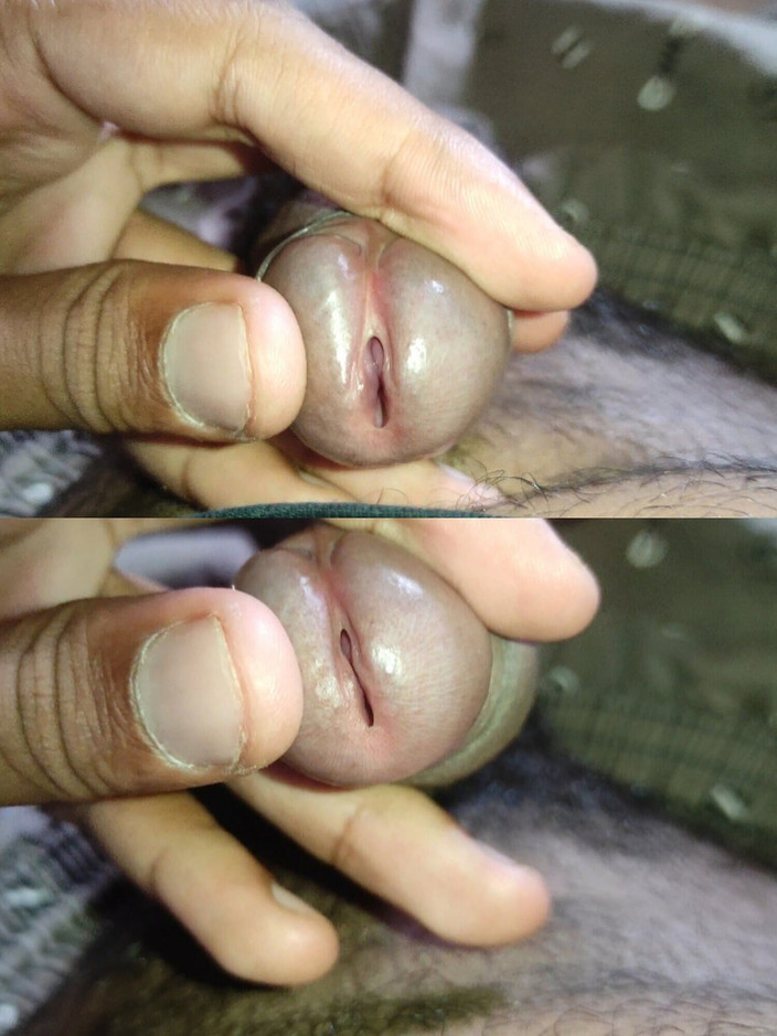 Horney: Дезі гей член