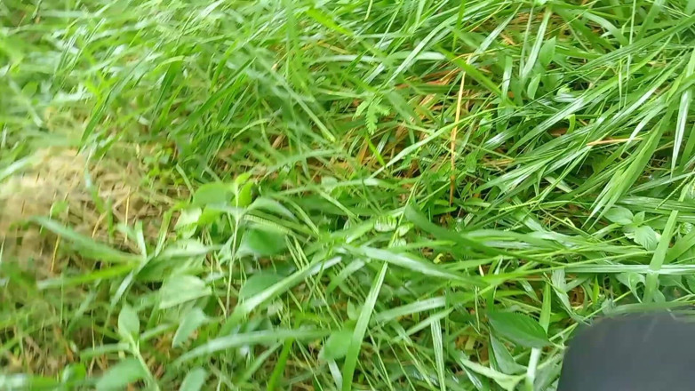 Sano lado: Jungla nepaleză Vloge Sali Vena sex video