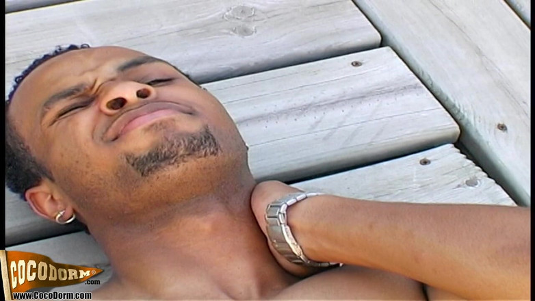 CocoDorm: Jason Little