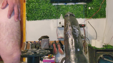 stoned boy: Я хочу большего