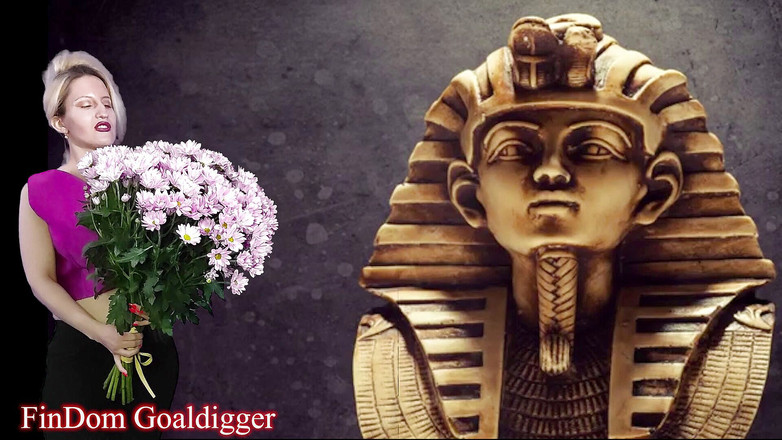 FinDom Goaldigger: Vip izin loserpaypig