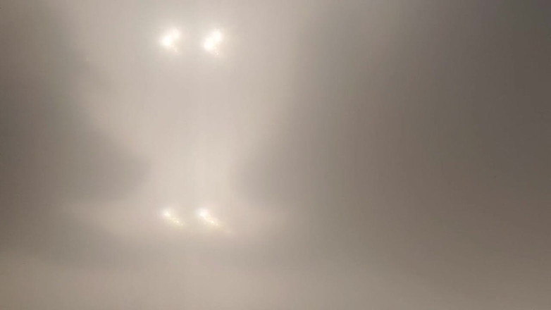 Skin and earth: Knubbig björn POV underifrån. Grunting och cumming i ditt ansikte