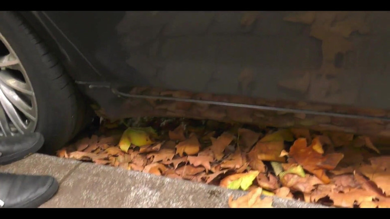 HPG Production: Nonna orgia con ragazzi atleti