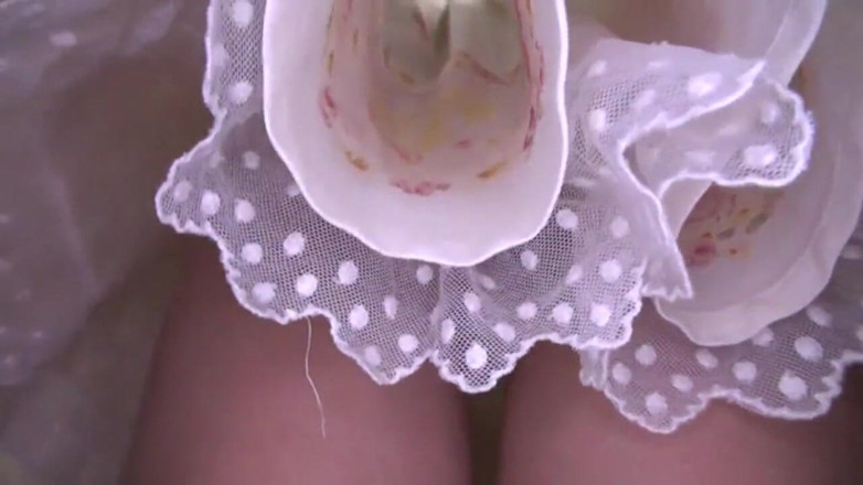 Sky Angel: Asian angel 1191