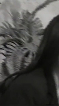 A Pussy Delisioza