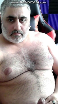 Solo Bear