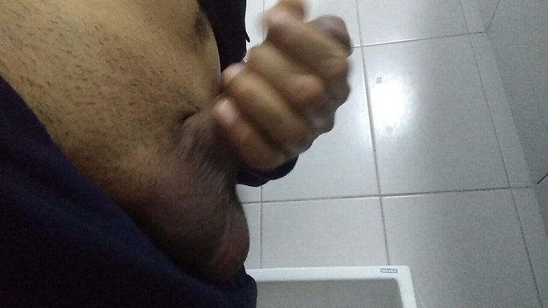 AlexAlejandro13: 공중화장실