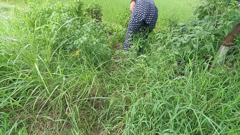 MHM: Outdoor Sex Videos Best Seen