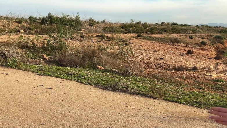 Andrew Oster: Saya Bertemu Dengan Seorang Nymphomaniac Di Jalan