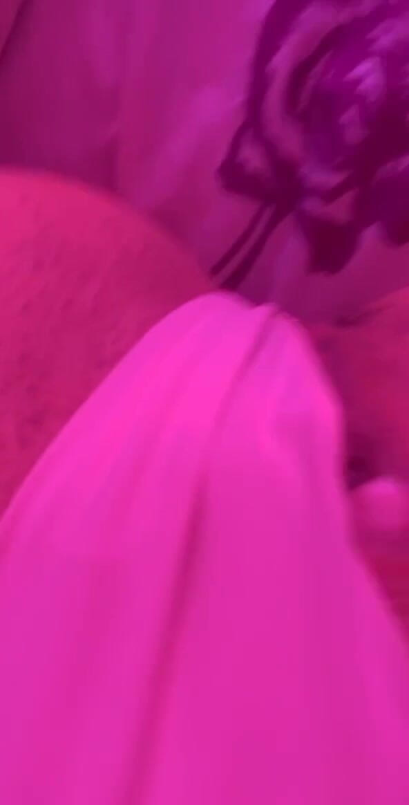 Shall We Do a Little Bit of Sexting? I Was Left Wanting to Cum by Sofia Sweetsecrett (FANS OF SOFIA SWEETSECRETT)
