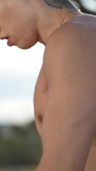 Objetos sexuales