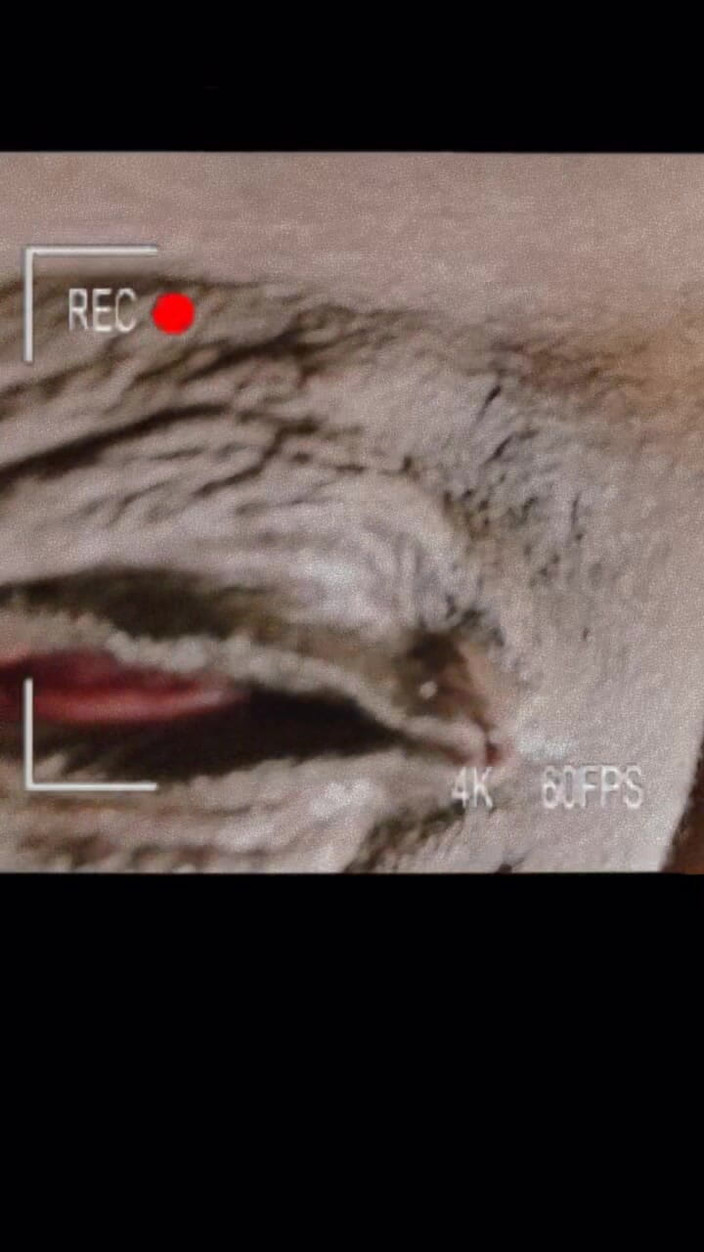 Mz Markqunna: Markqunna's Special