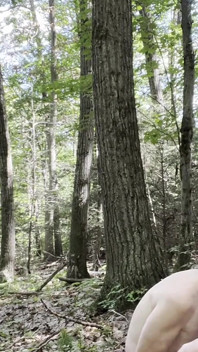 Sexo al aire libre en el bosque meando y corrida