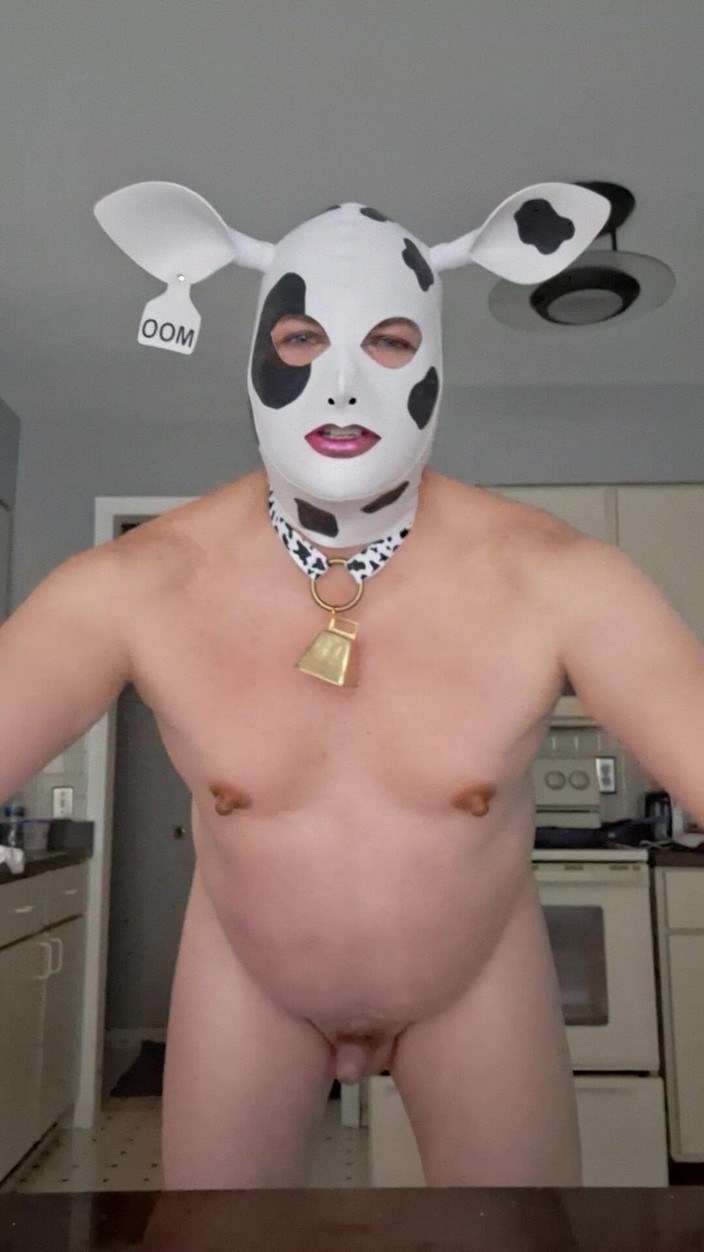 Victoria Lecherri: Hucow Samstag Intro!