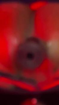 Red Light Special