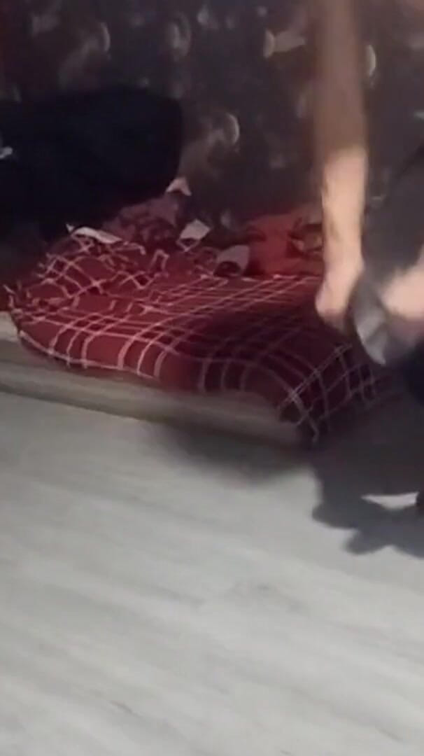 Porno Trinirovka (Red 69) Porno Trinirovka (Red 69)