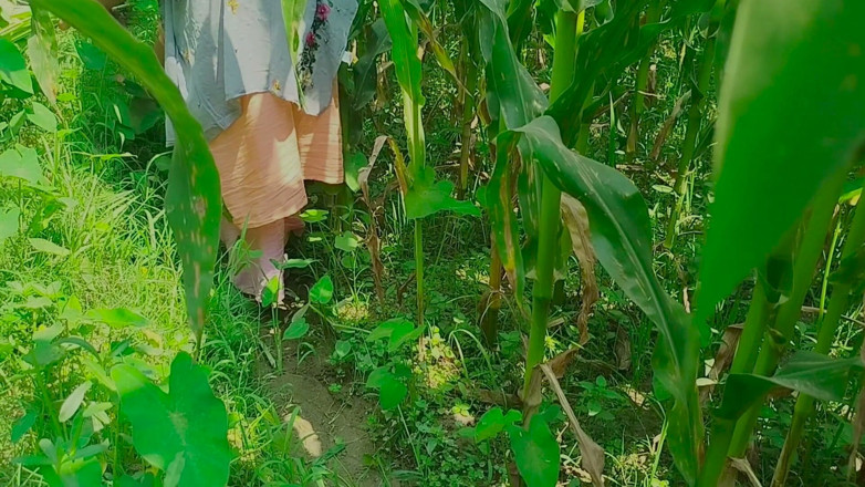Deshi women: Gaon's Desi Chudai Jungle Mein Mangal