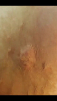Tittys and Nipps Close up