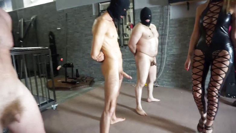 Lady Mesmeratrix Official: 疯狂的女主调教小妞狠狠地踢他们的奴隶鸡巴