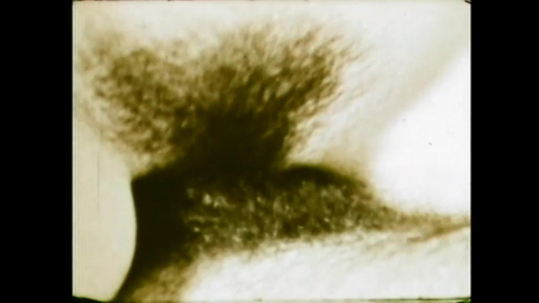 The Unforgettable: Zandy kekasih liar