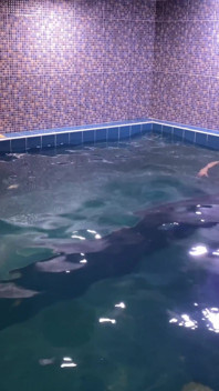Teenage twinks Matty and Aiden blowjob in the swimming pool