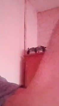 Horny