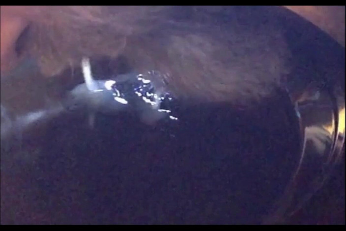 Random111zoig: 备忘录24