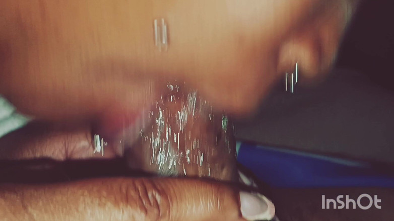 The Nasty House: The Throat Chronicles Vol 1