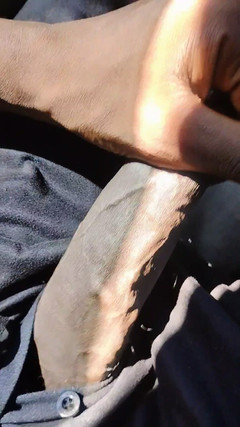 Chocolate Meat Stick: Chocolatemeatstick 大黑闪烁