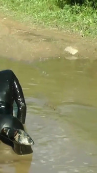 Femdom Wet and Messy Humiliation! Arya Grander
