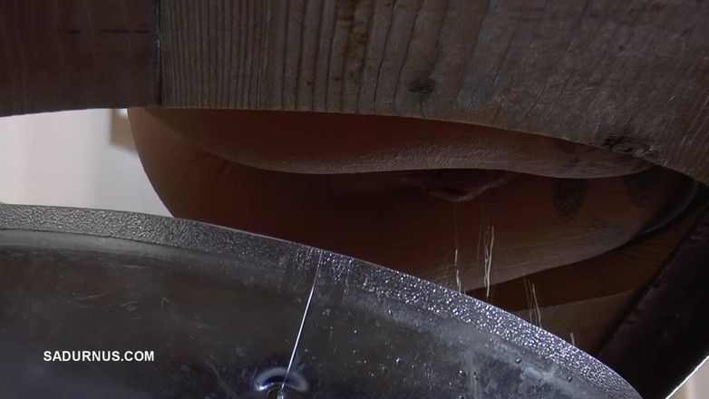 Sadurnus: Bà chủ Cleo phun nước trong nhà vệ sinh vào...