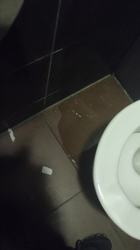 Pissing