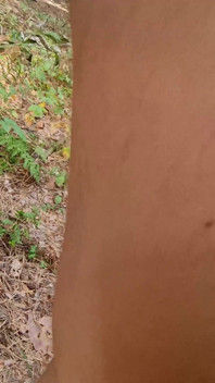 Pissing a Lot After a Spontaneous Naked Walk in the Forest