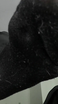 Dirty Socks