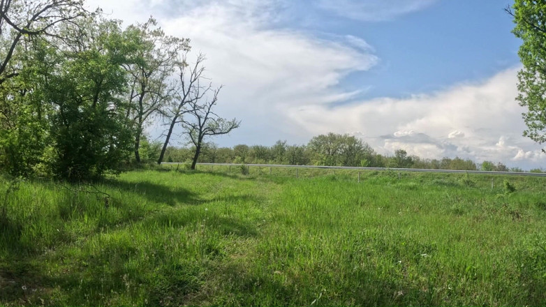 Za Za: Niewolnik Tih Szedł dziś nago na autostradzie dla swoich fanów